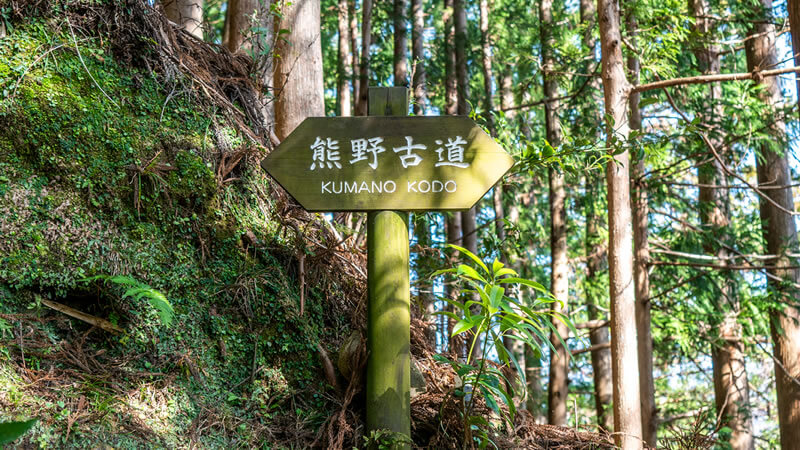 Kumano Kodo