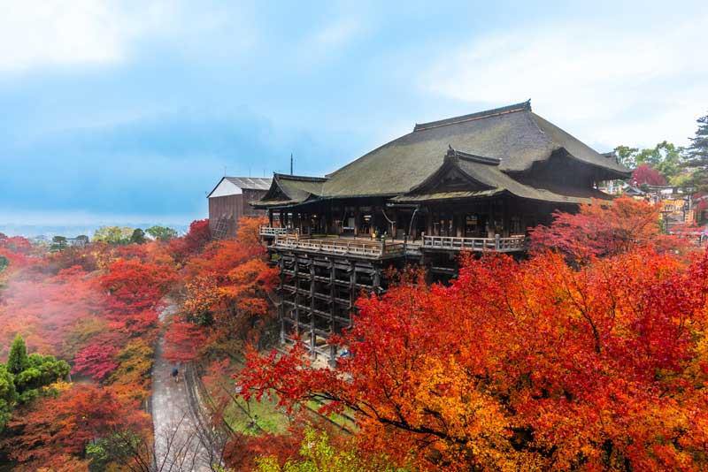 拍手はNG?神社と違う?お寺を参拝する時に知っておきたいマナーと関西エリアで訪れるべき寺院