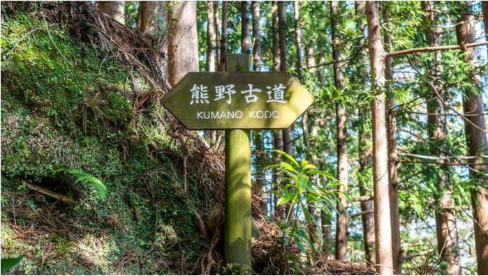 The Great Kii Peninsula