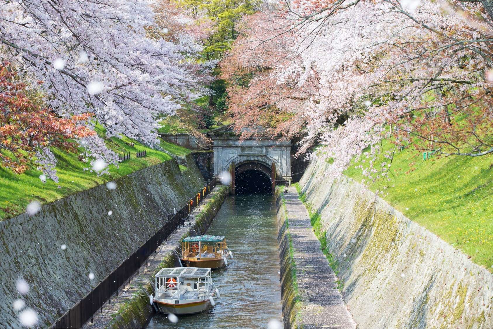 Lake Biwa Sosui