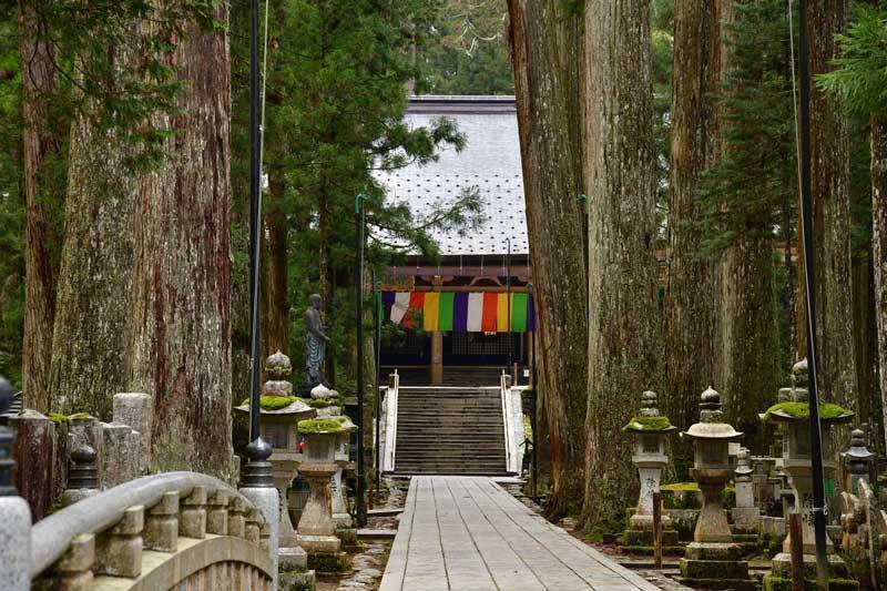 真的可以住寺院吗？世界遗产高野山修行体验4次