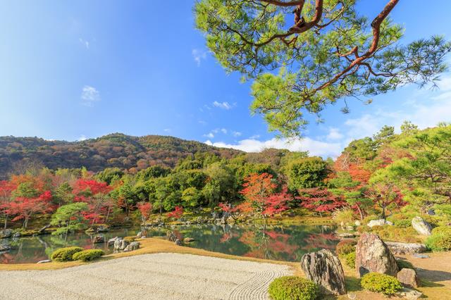 想領略日本之美，就來這裡！來京都必遊的5處日式庭園