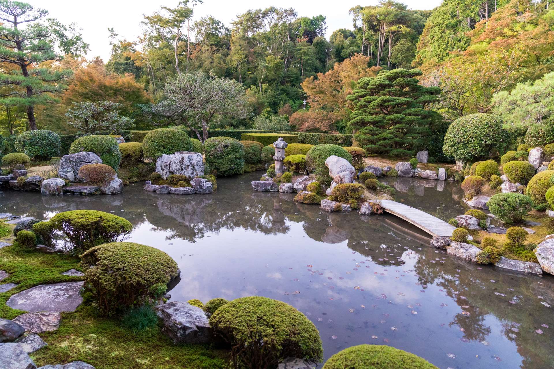 坐在 Jojuin 的門廊上，欣賞日本最著名的花園之一