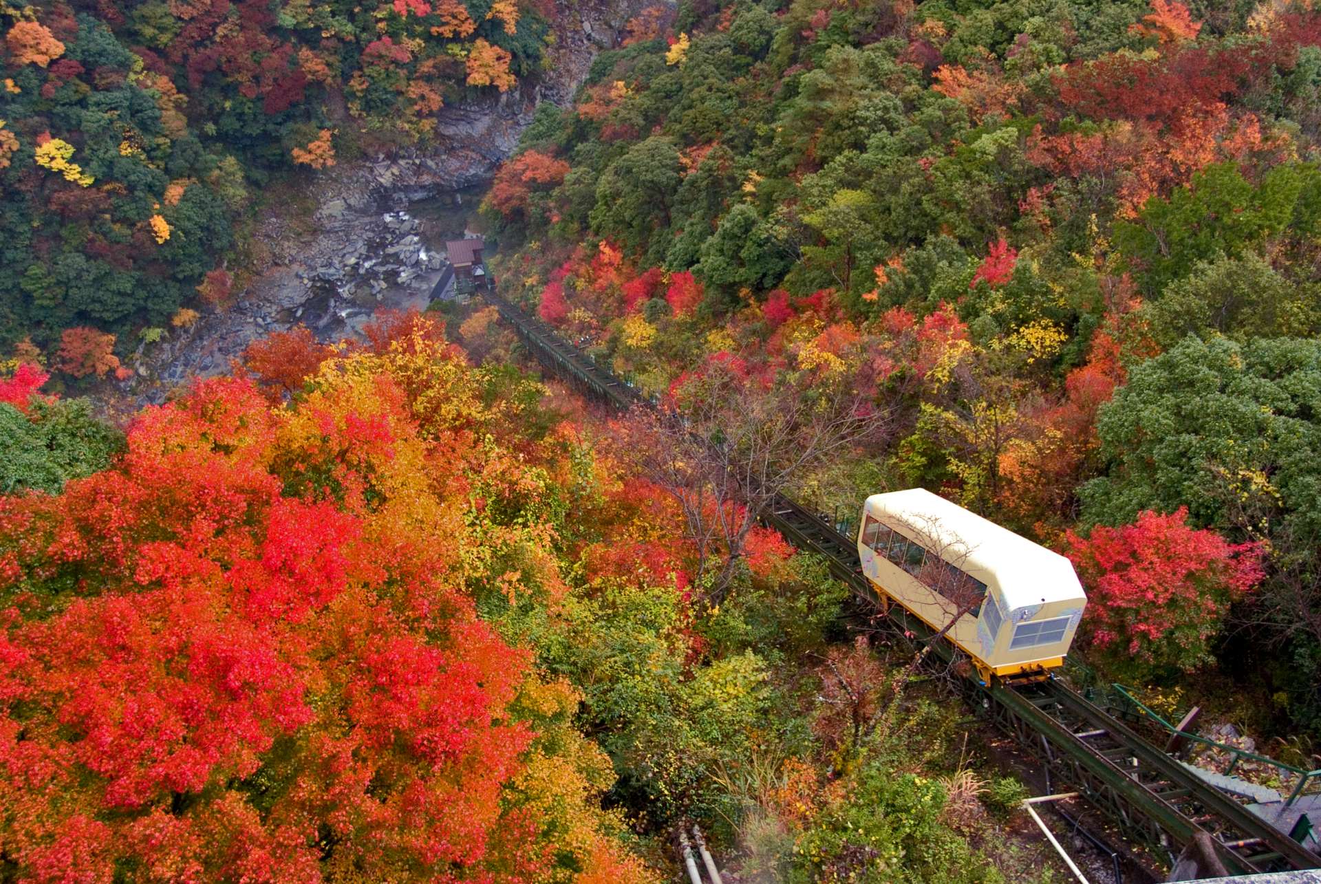 谷底的露天浴池可乘坐專用纜車，一邊欣賞絕景。