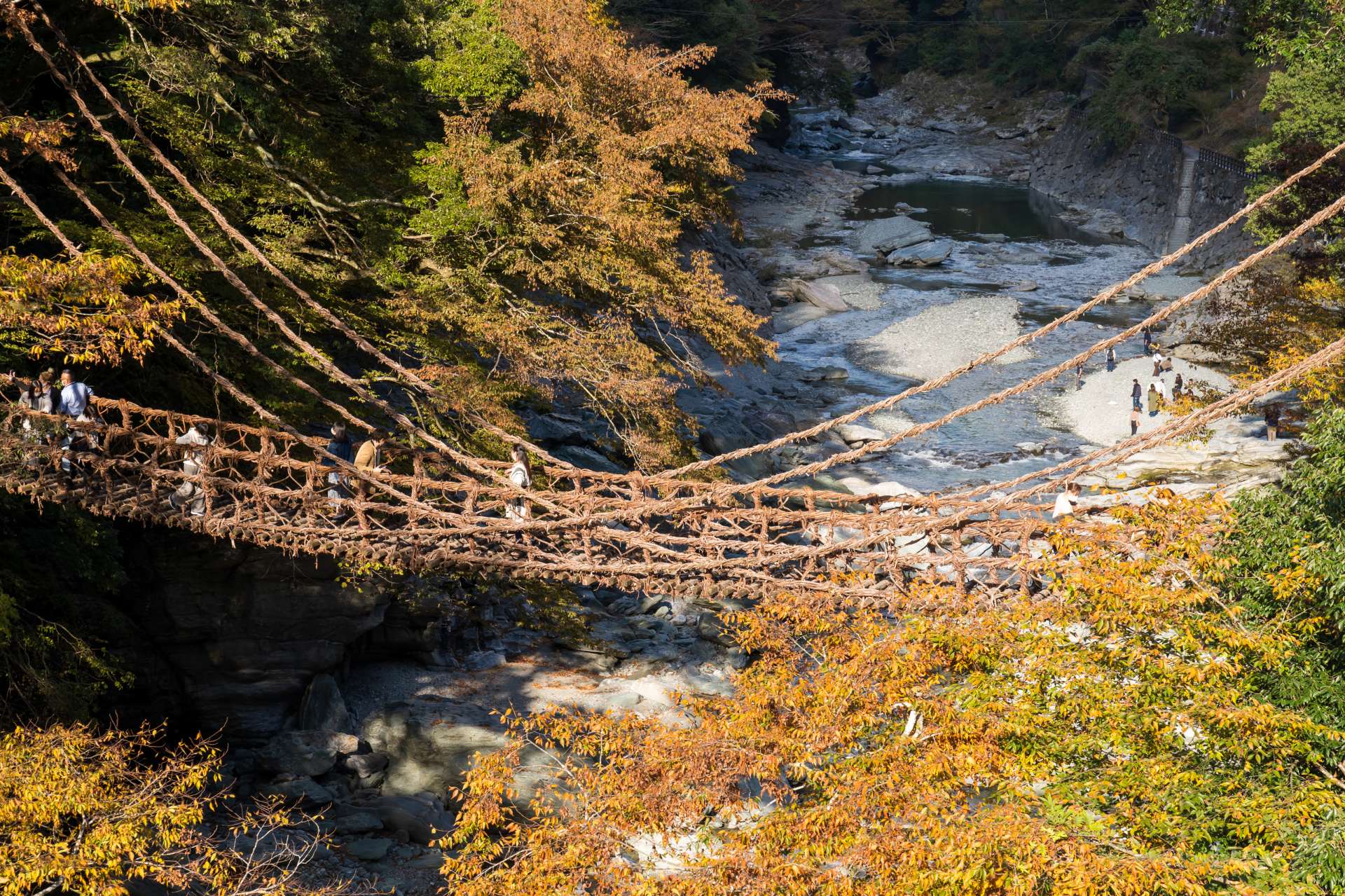 祖谷のかずら橋。その魅力とスリルは、実際に渡ってみてこそ