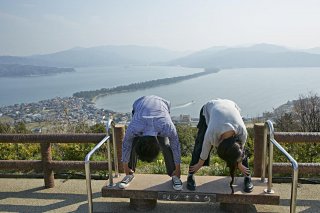 京都府人氣推薦觀光體驗景點20選！旅遊和住宿信息，海外熱門景點（2022）