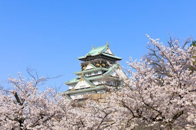 Best time to view the cherry blossoms: Late March to early April