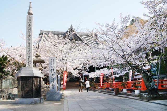 Best time to view the cherry blossoms: Late March to early April