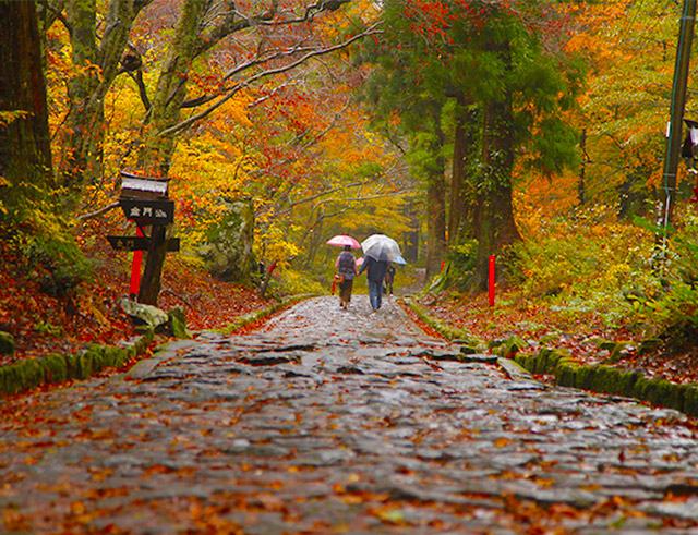 大神山神社奥宮の
石畳道