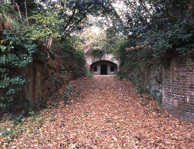 Remains of Ashidani gun battery (Remains of former Maizuru Yosai)