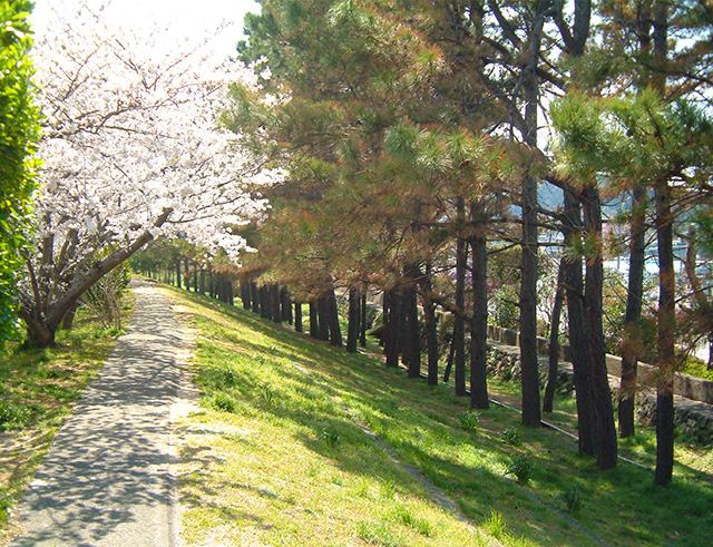 Seawall built by pilling soil(Hiromura Seawall)