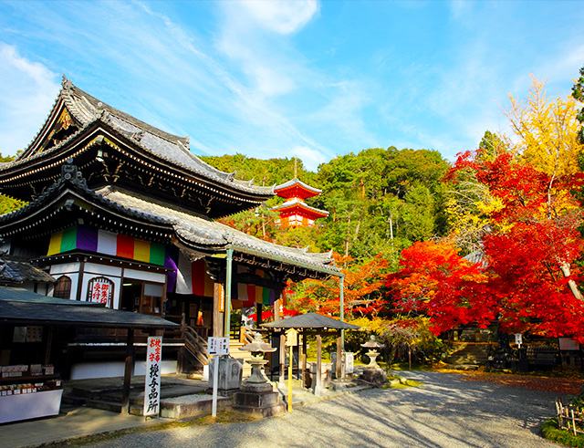 第15番札所 今熊野観音寺(いまくまのかんのんじ)本堂