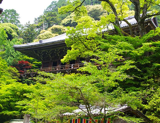 第27番札所 圓教寺 摩尼殿(えんぎょうじまにでん)