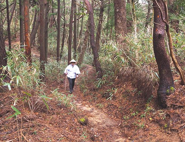 世界遺産 高野山 女人道