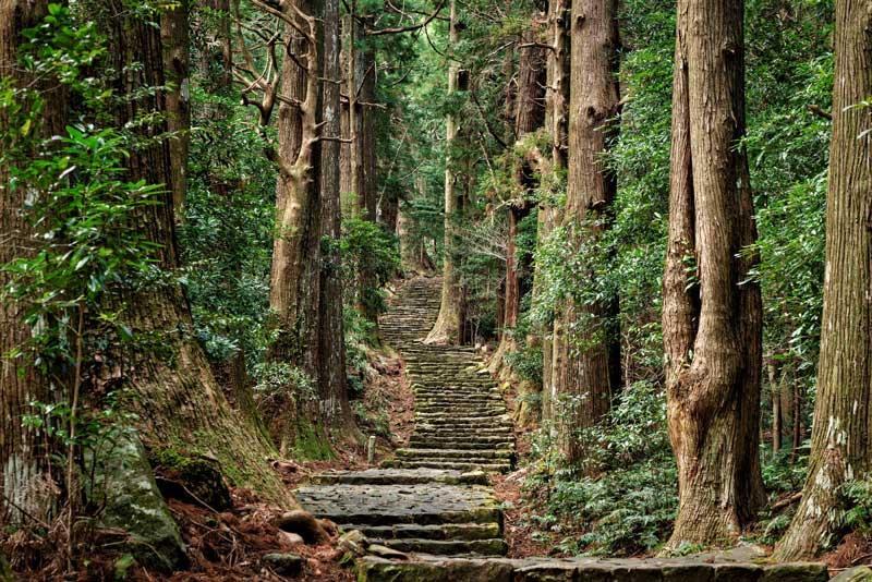 熊野古道