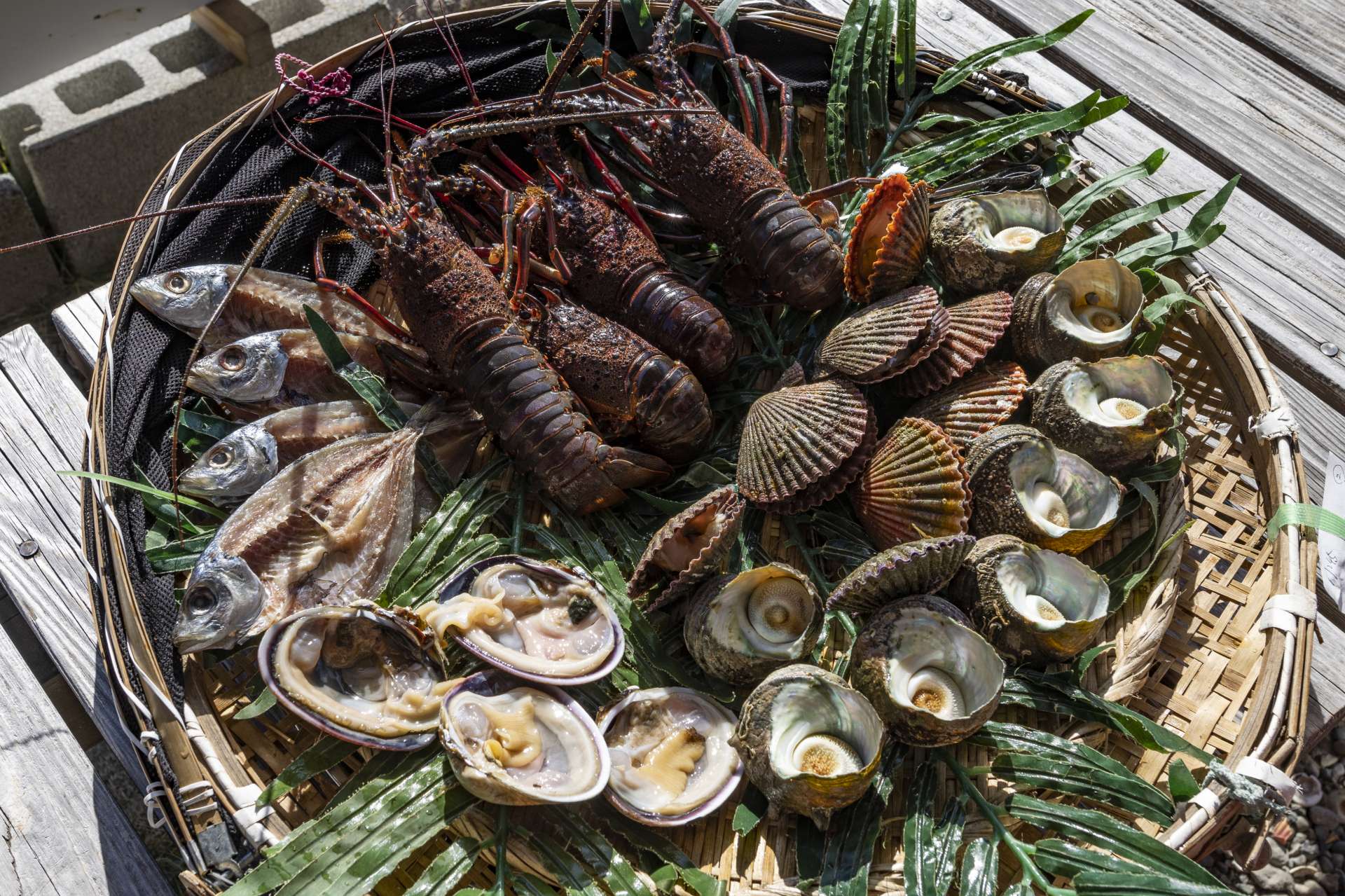 海女小屋「はちまんかまど」の海女が獲ってきた新鮮な魚介類。