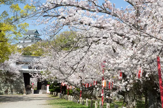 Castles of Toyotomi Hidenaga