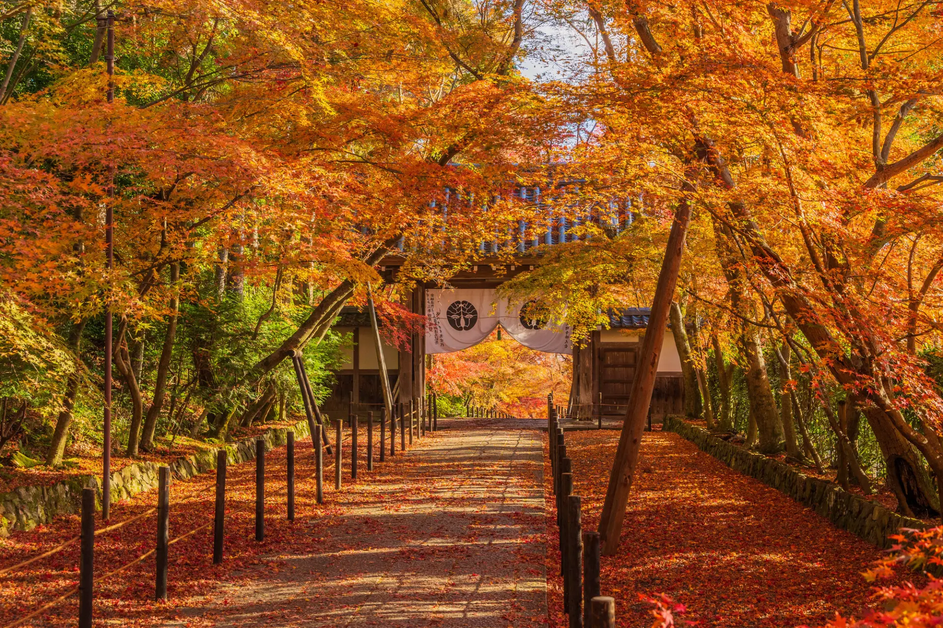 紅葉が彩る秋の京都