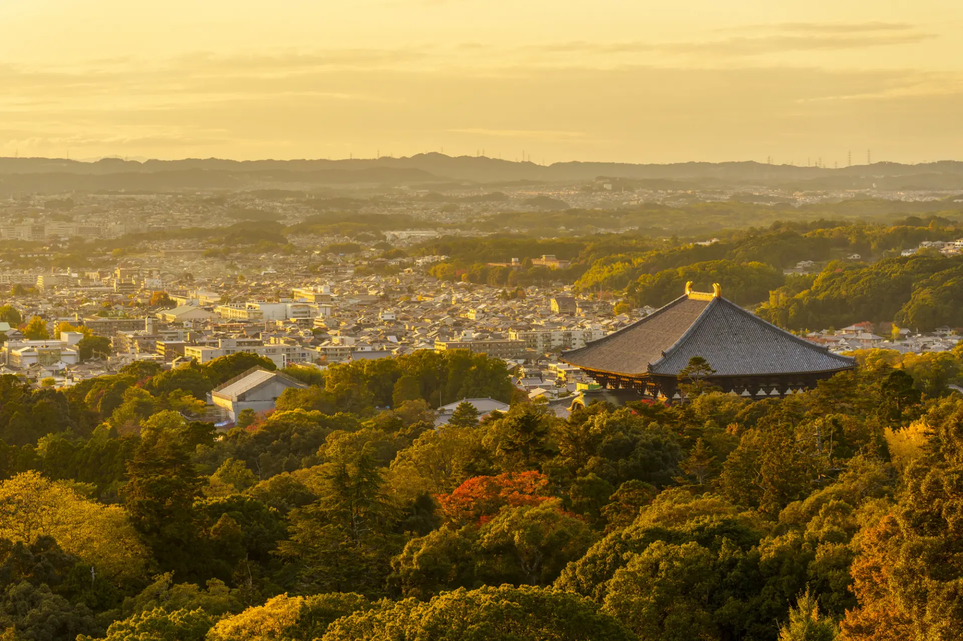 1,300年以上の歴史を持つ日本最古の都も散策してみよう