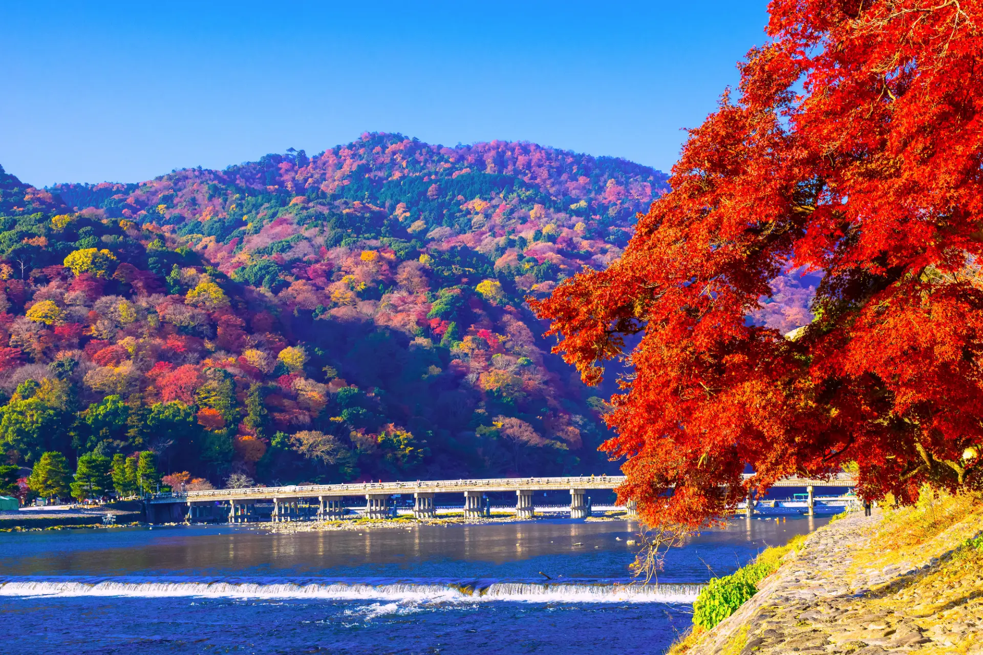Arashiyama offers spectacular scenery that changes with the seasons.