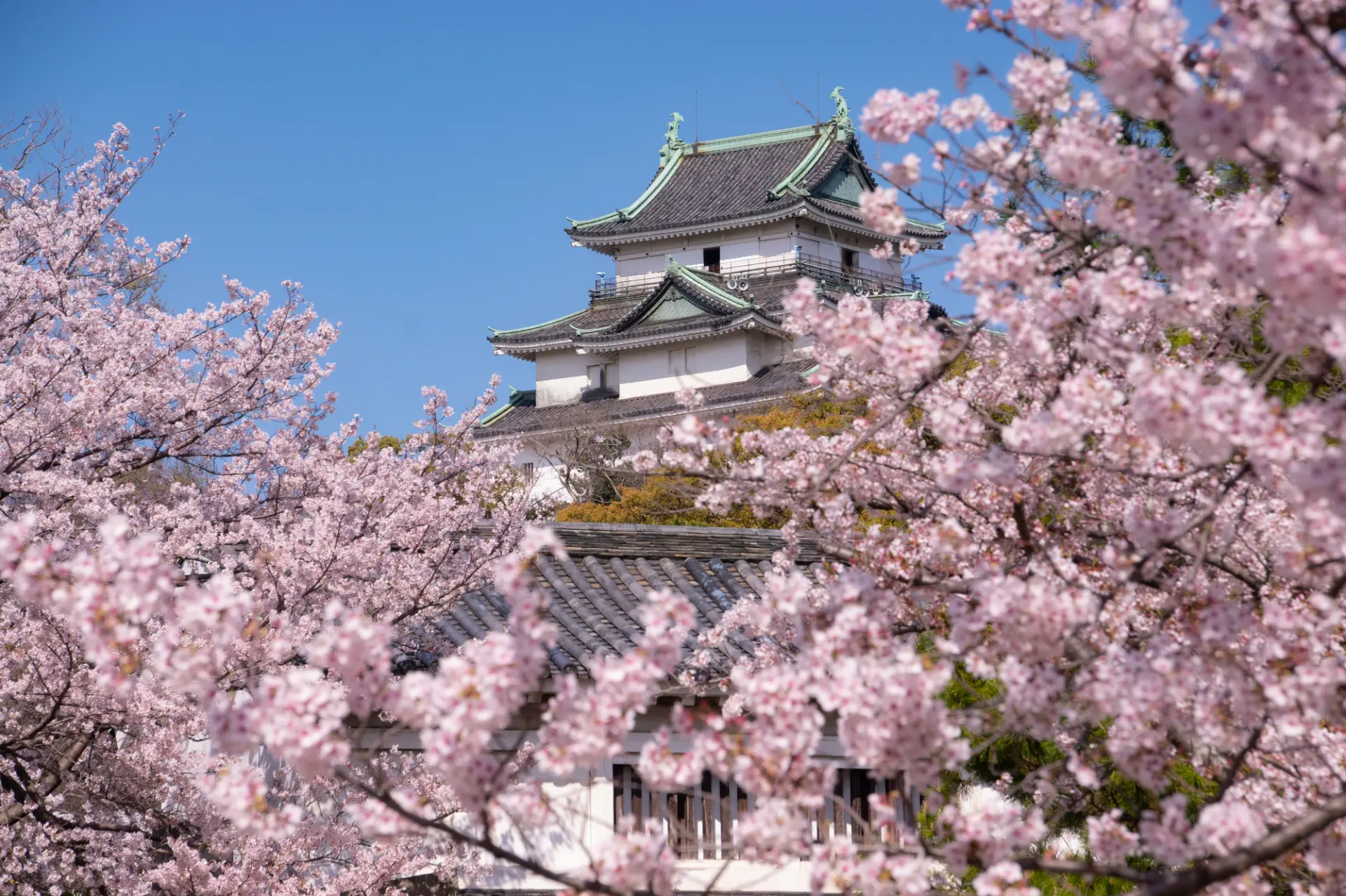 Discover the area around Wakayama Station, centered around Wakayama Castle.