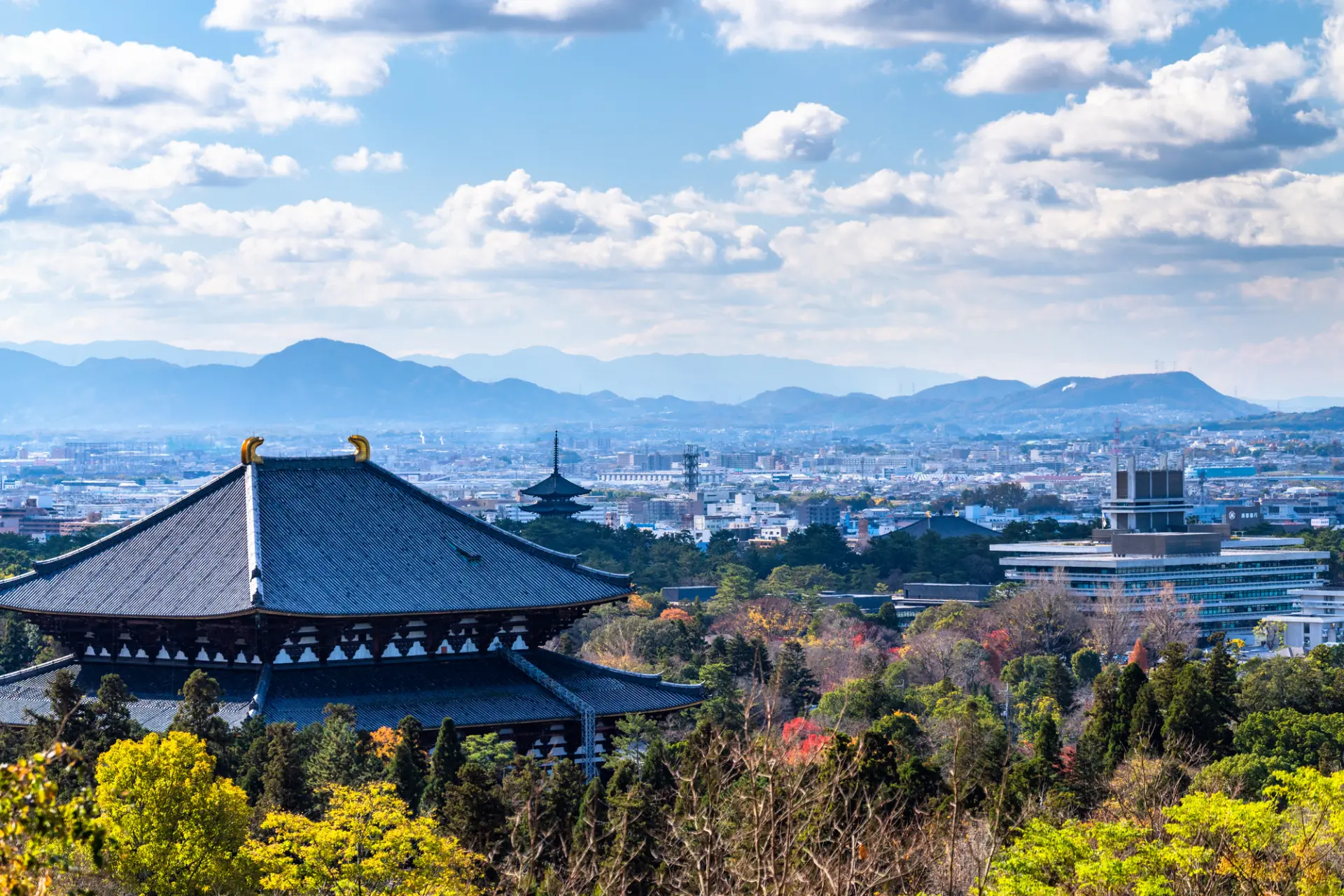 One of Nara’s charms is that major attractions are clustered near the station.