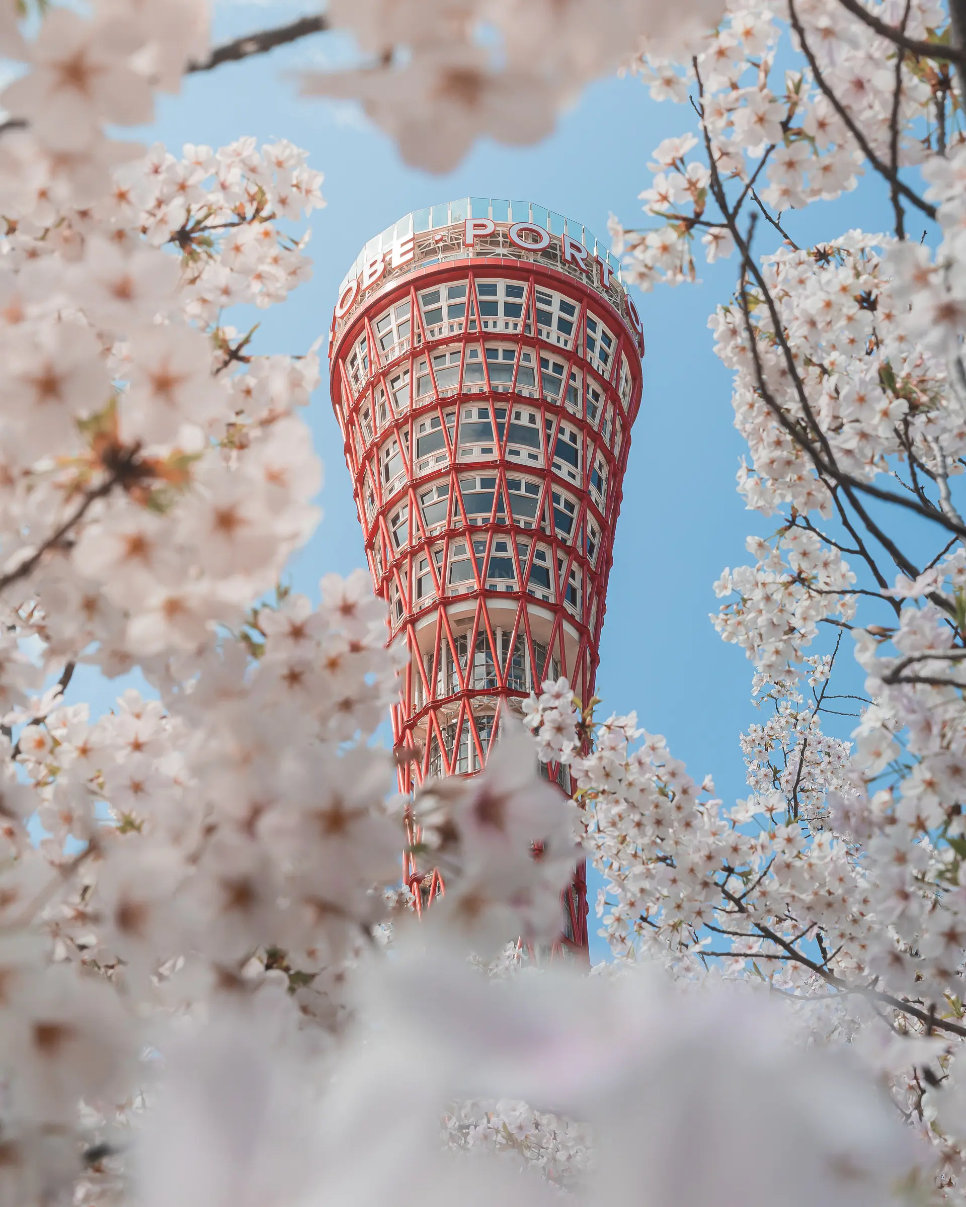 "Kobe Port Tower in Spring" by Yuto (@yuto_kobe)