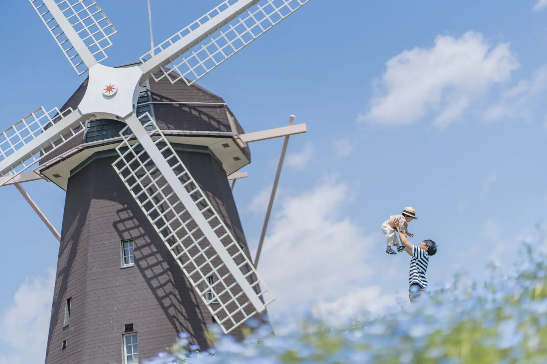 “A Page of Happiness” by Nozomi Matsui