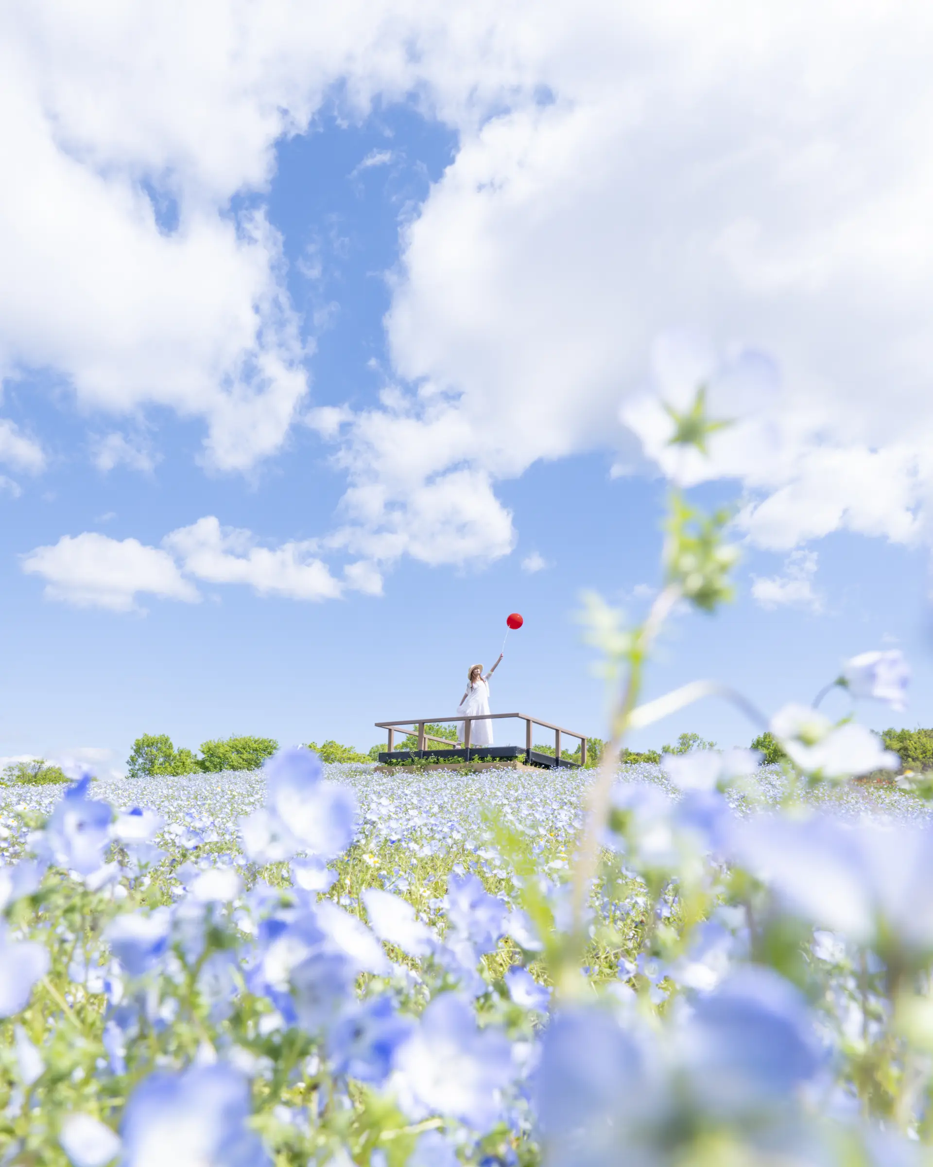 “Connecting Dreams to the Future” by kaichan.papa