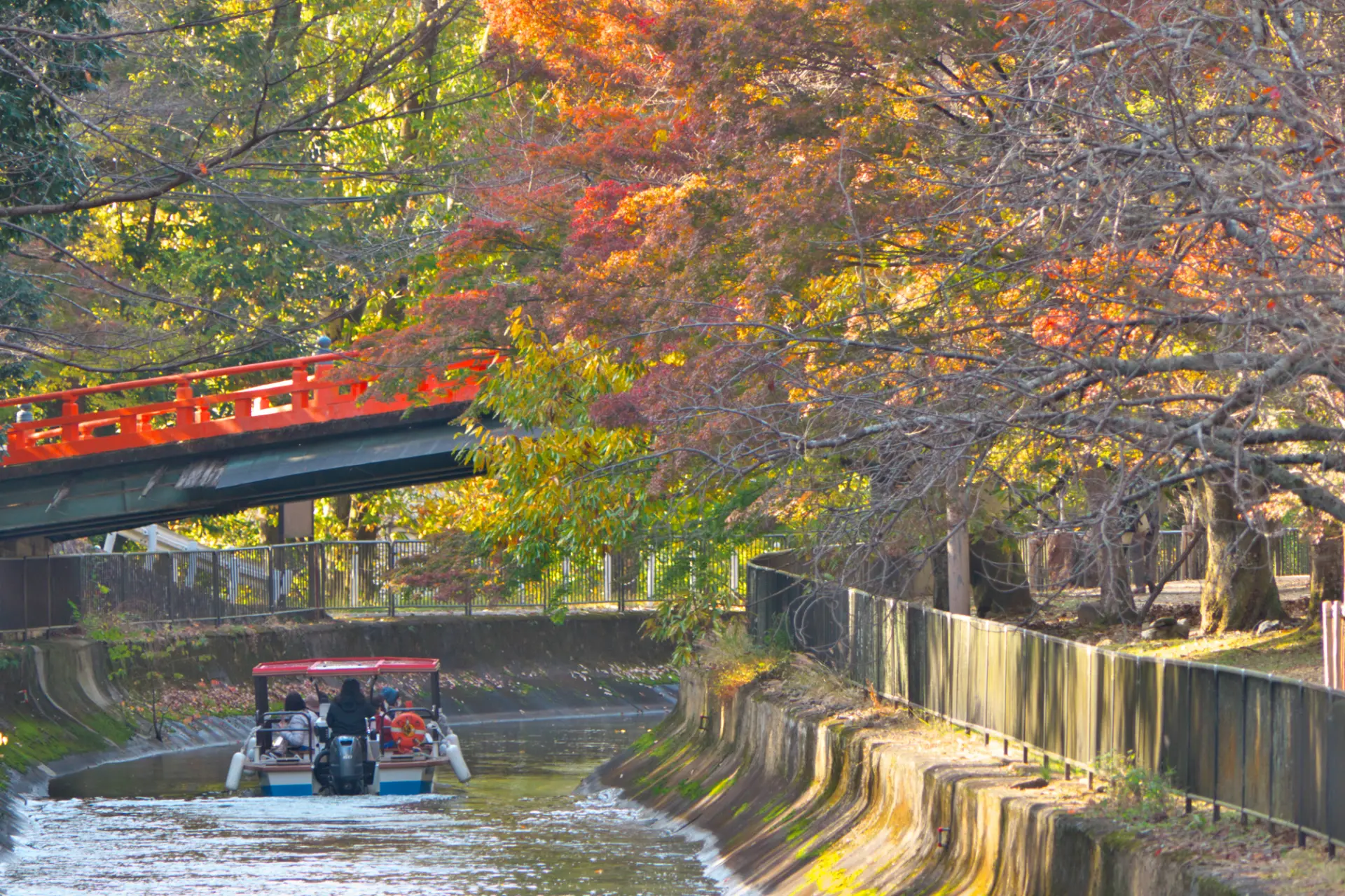 3 Spots with Timeless Landscapes for Appreciating Kansai’s Rich History