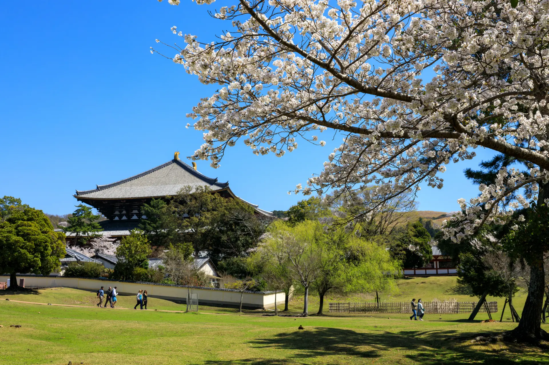 Nara Park and other iconic landmarks are conveniently clustered around the station.