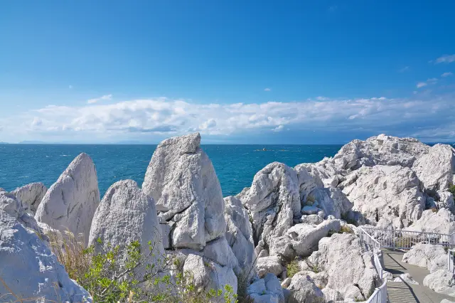 5 Local Experiences Not Found in Guidebooks: Wakayama Edition