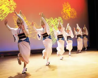 5 Must-Visit Spots in Tokushima: From Famous Sights to Hidden Gems