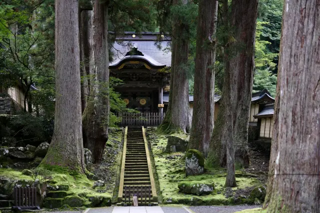 3-Day Central Japan Itinerary: From Kyoto to Fukui’s Castle Towns and Temples