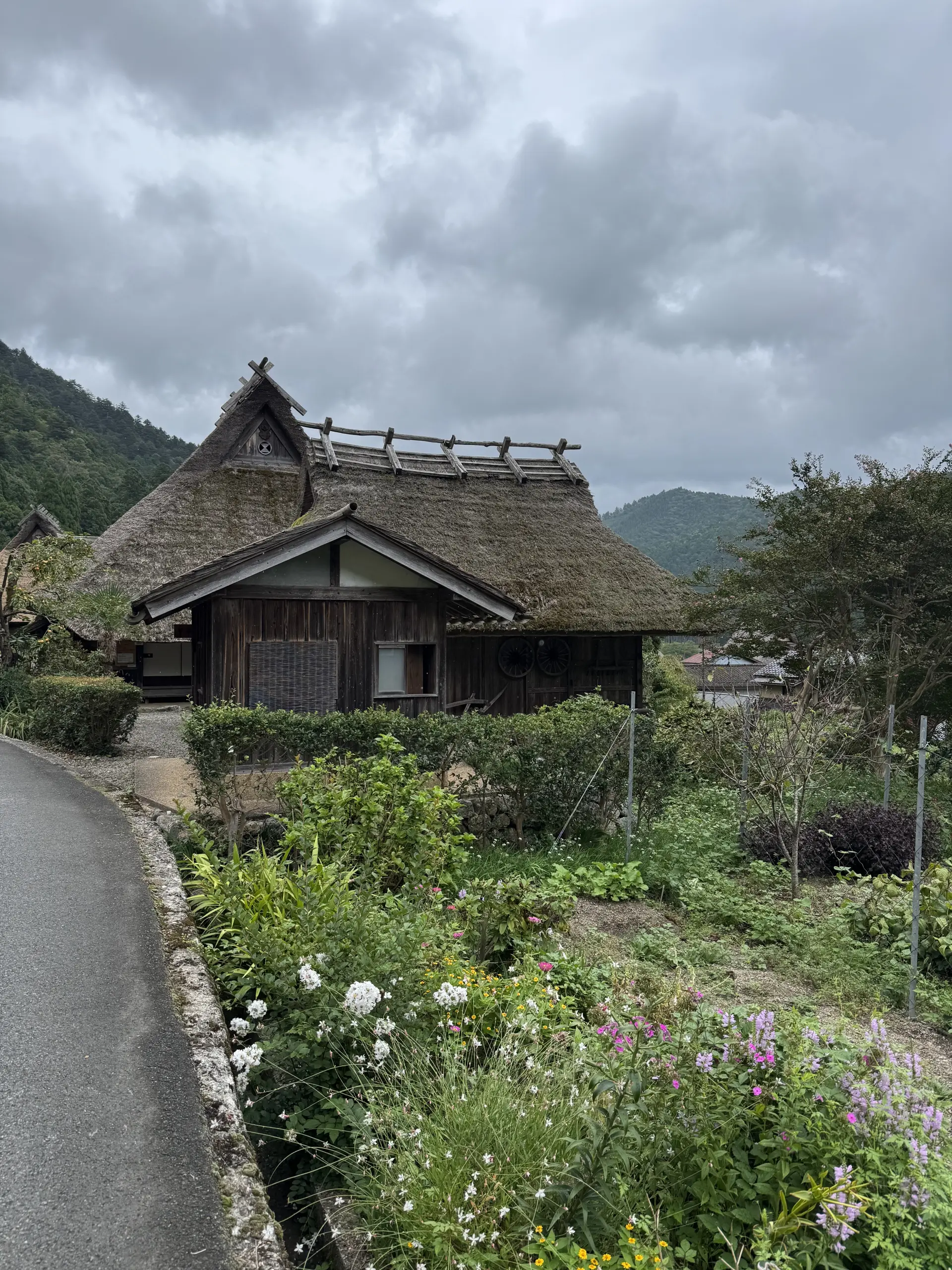 Wakasa to Kyoto: Tracing the Miketsukuni Route on the Mackerel Highway