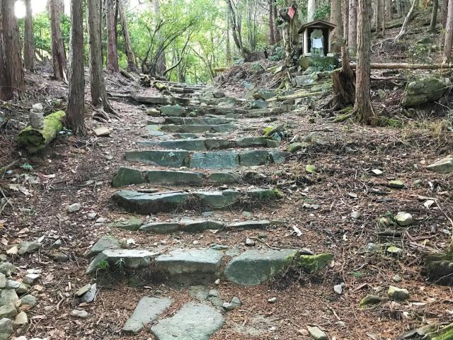 比叡山ハイキング