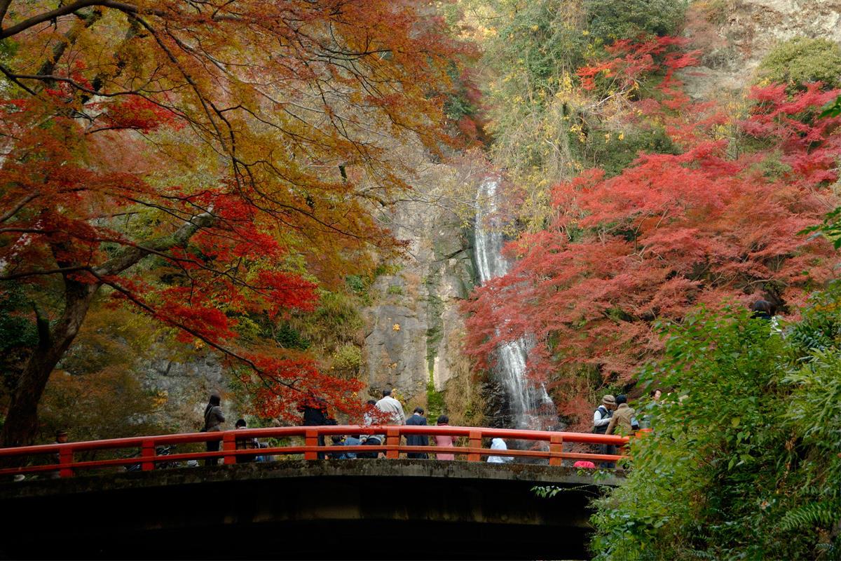 明治の森 箕面国定公園