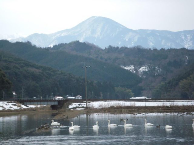 Nikko Pond