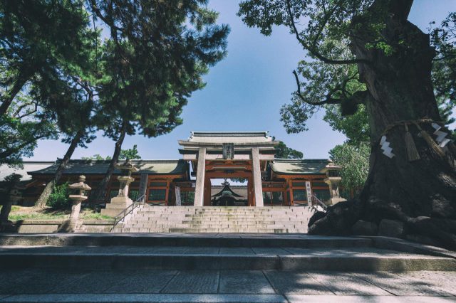 Sumiyoshi Taisha Shrine