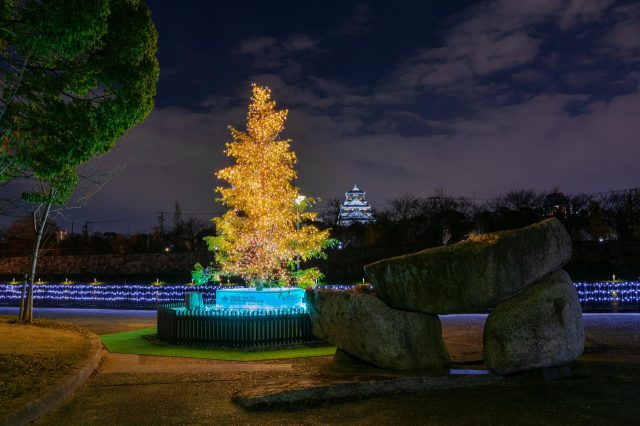 白見綠堂公園 Dreams Come True 樹