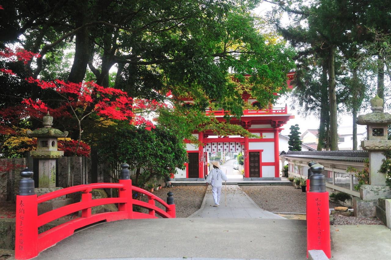 亀光山 釈迦院 金泉寺