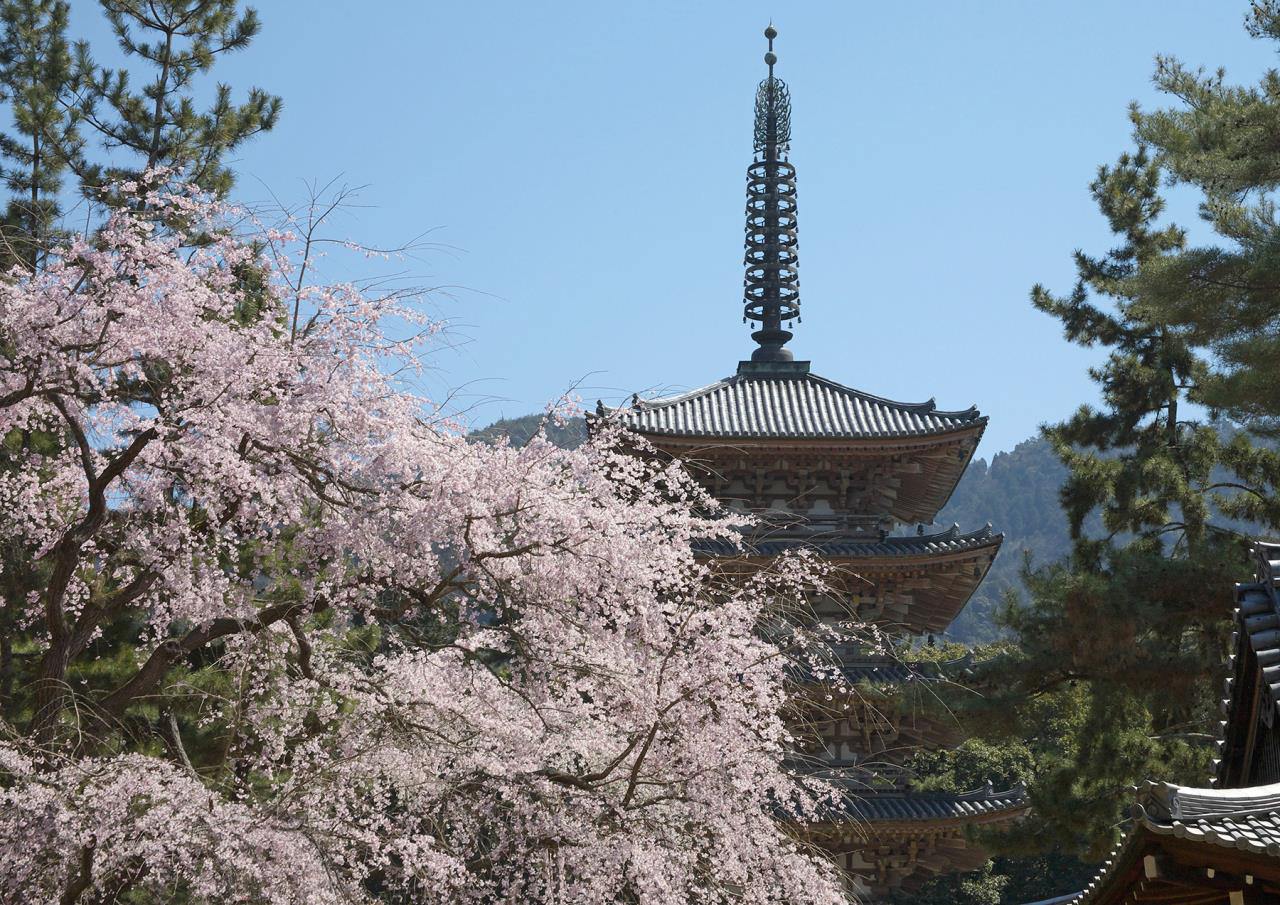 醍醐寺