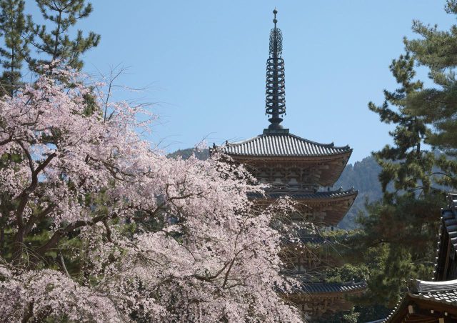 Daigo-ji Temple