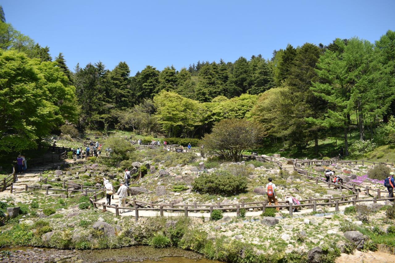 Rokko Alpine Botanical Garden