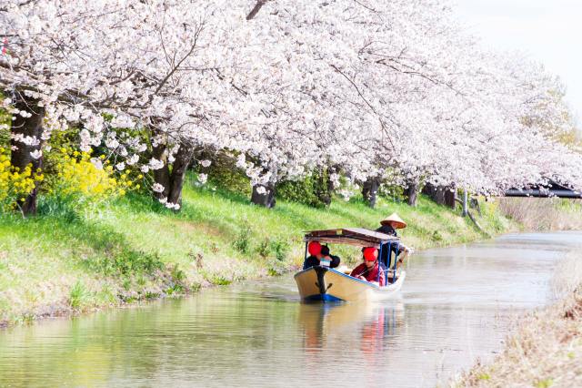 水郷めぐり