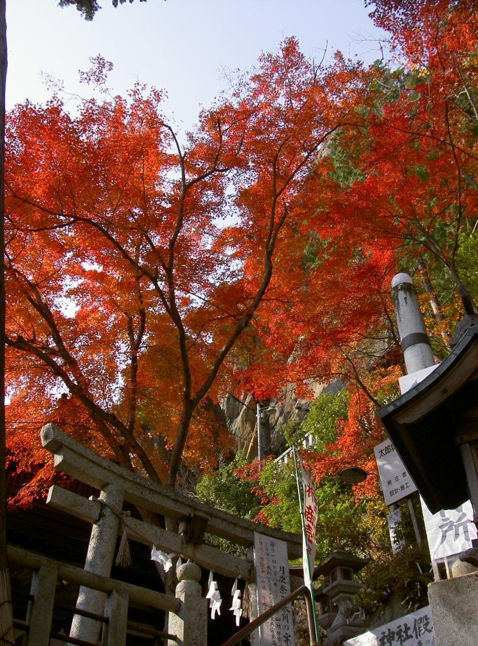 Tarobo-gu Shrine