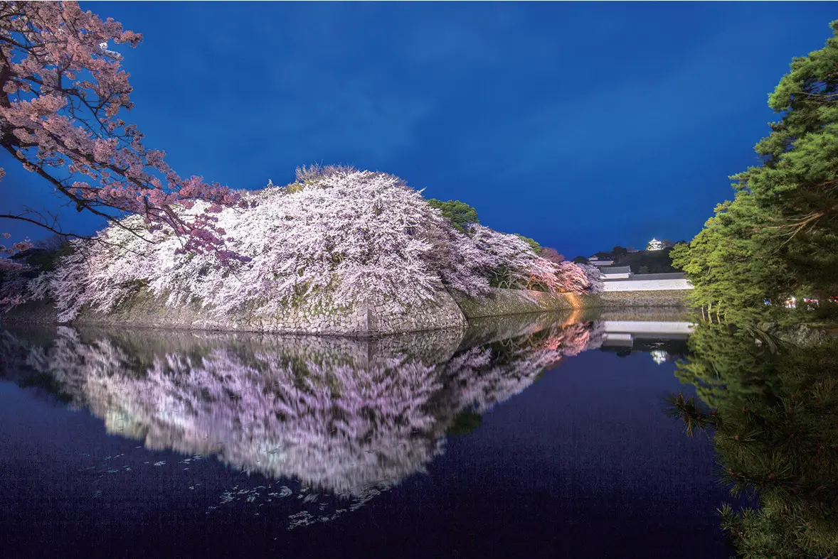 Hikone castle is also lit up at night.