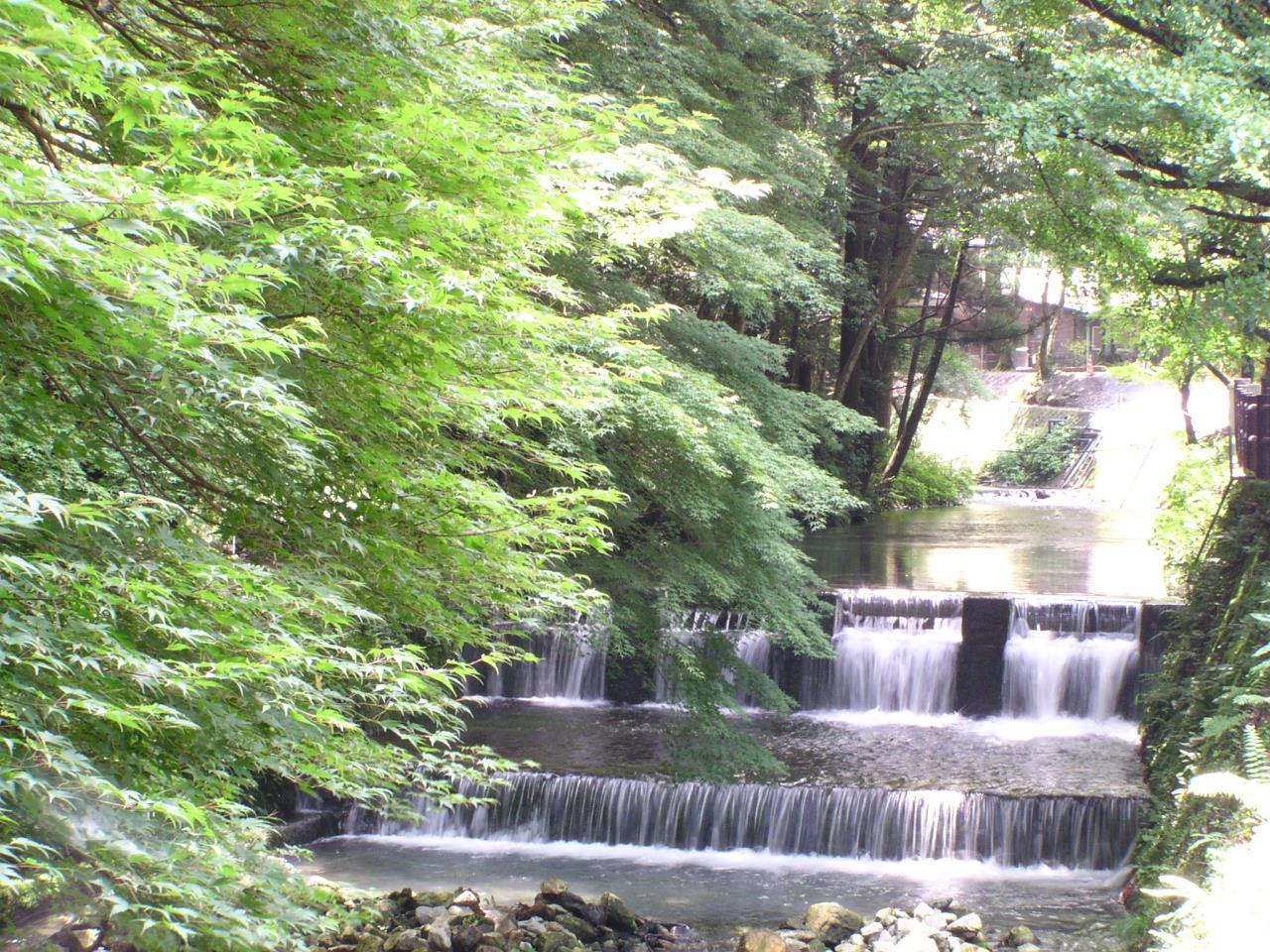 滋賀県醒井養鱒場