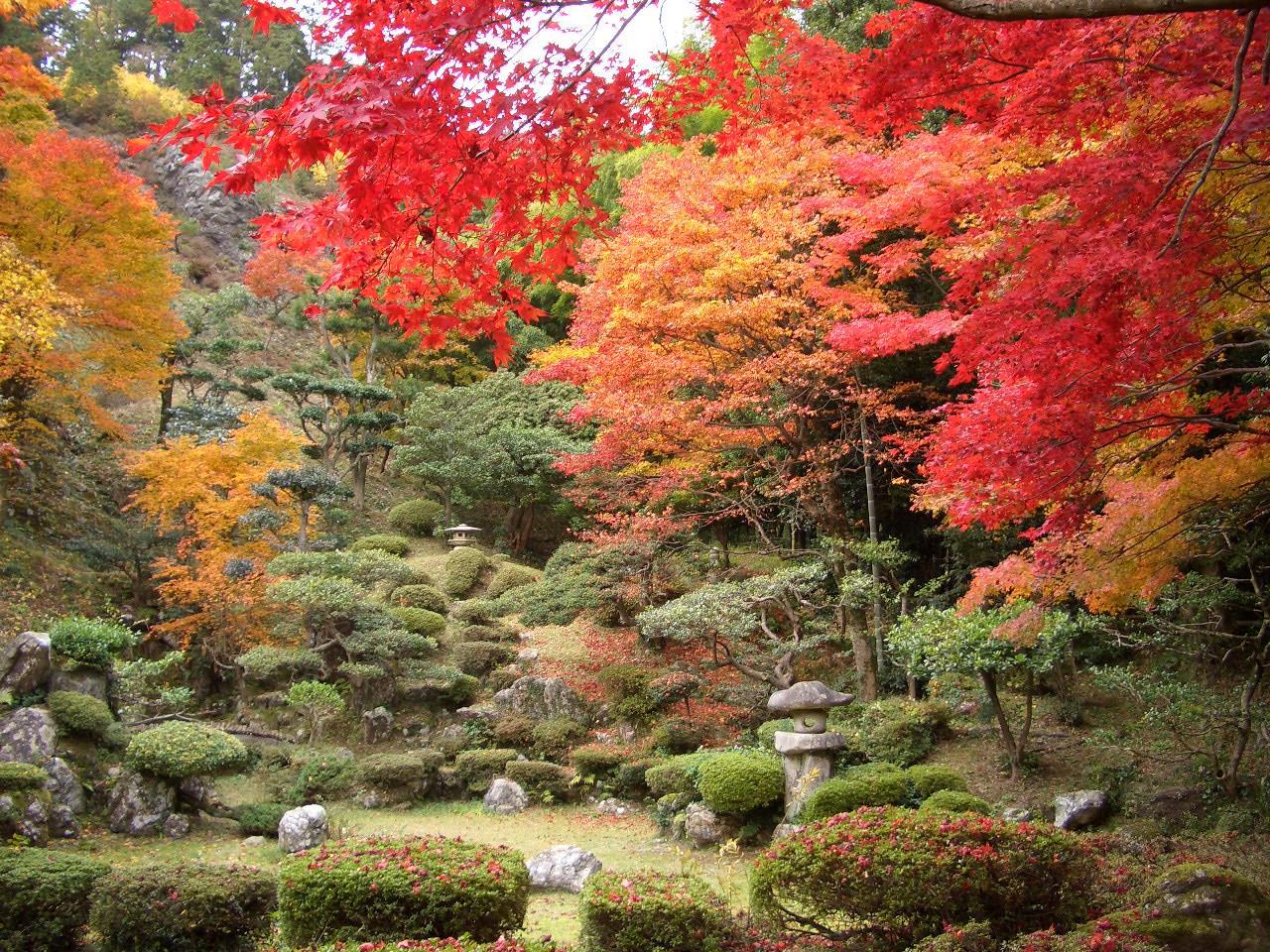 清滝寺徳源院