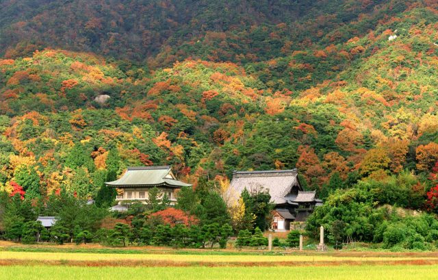 西福寺